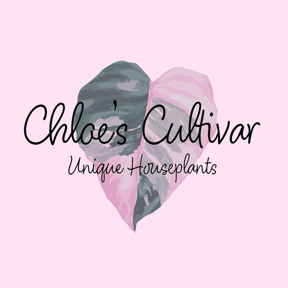 chloewilliky